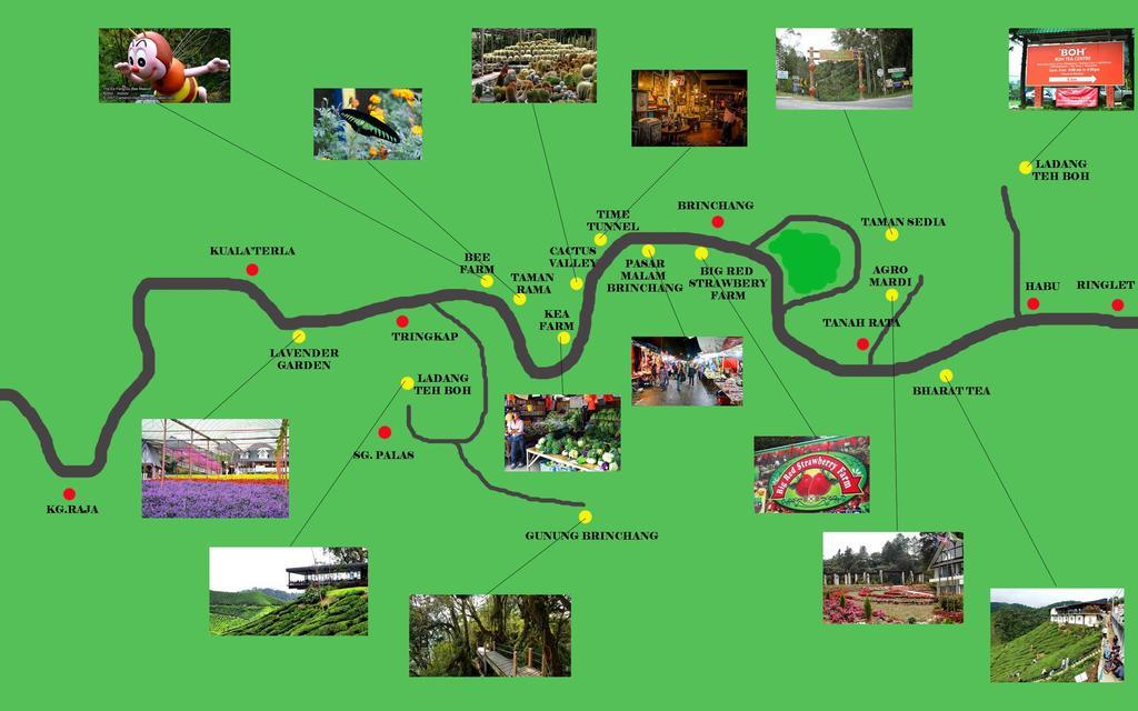 Homestay Cameron Highlands Mikayla Buitenkant foto